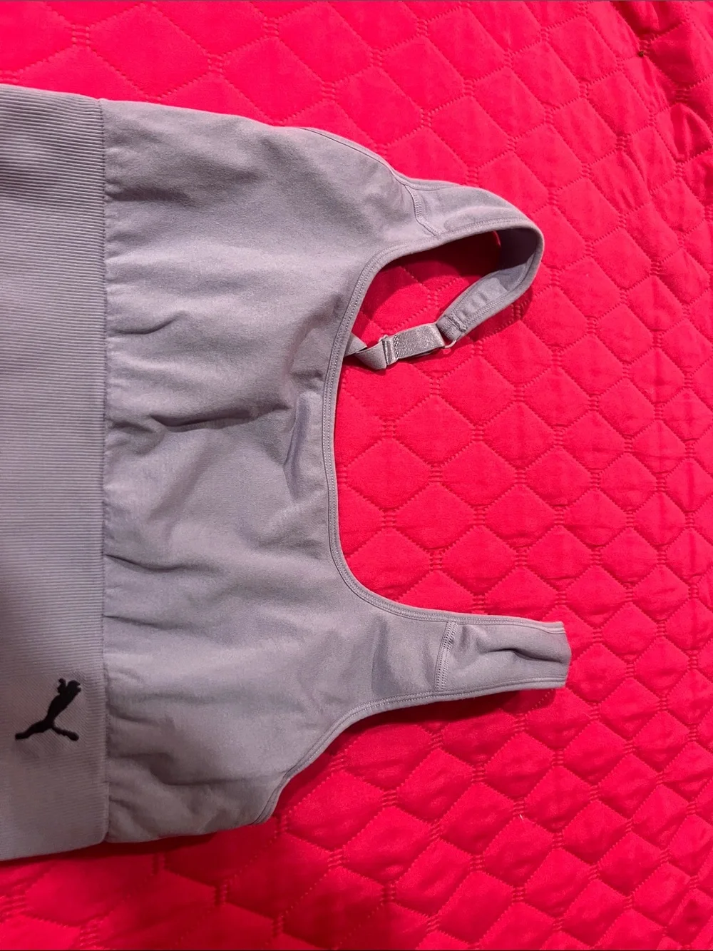 Puma Light Mauve Active One-Piece Sports Bra